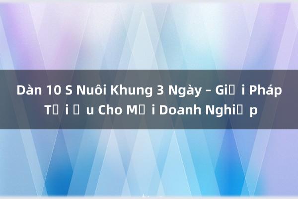 Dàn 10 S Nuôi Khung 3 Ngày – Giải Pháp Tối Ưu Cho Mỗi Doanh Nghiệp