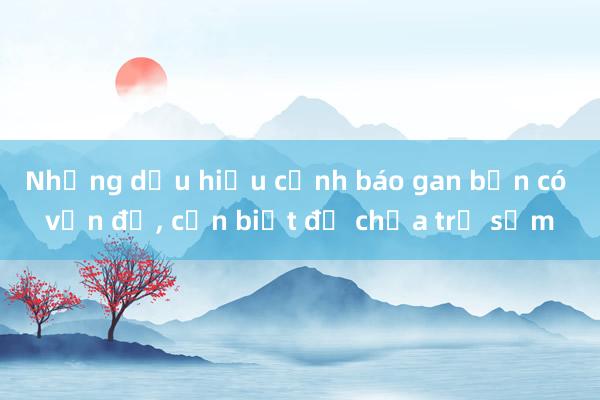 Những dấu hiệu cảnh báo gan bạn có vấn đề, cần biết để chữa trị sớm