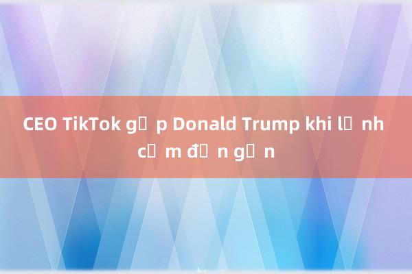 CEO TikTok gặp Donald Trump khi lệnh cấm đến gần