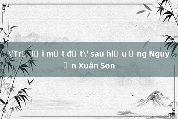 'Trở lại mặt đất' sau hiệu ứng Nguyễn Xuân Son